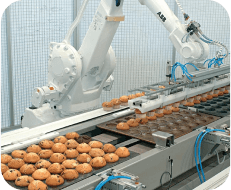 Palletizing & Packaging Robots