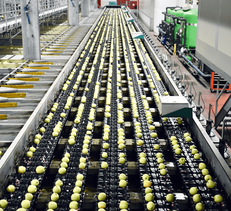 Food Manufacturing
